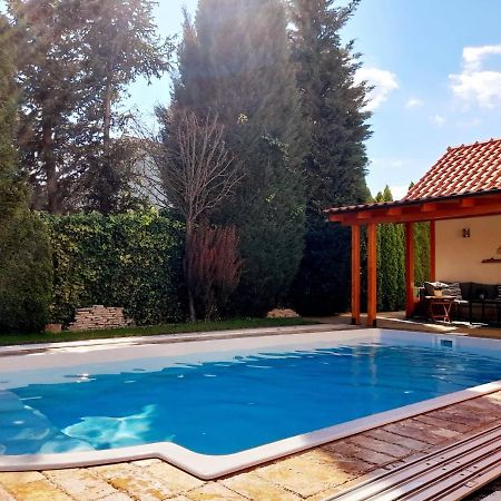 Canadian Style House With 3D Effect Pool Vinosady Buitenkant foto